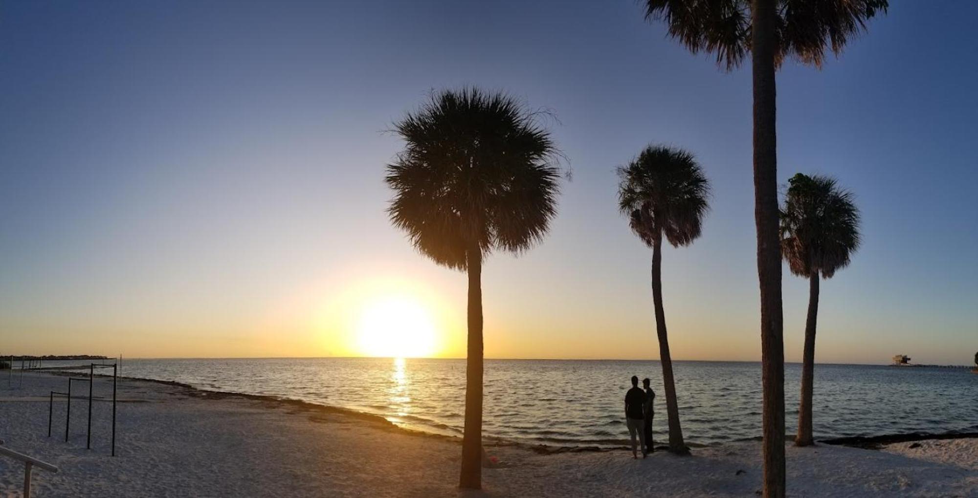 Elegant Studio Apartment In Downtown St Pete - Great Community Events! St. Petersburg Dış mekan fotoğraf